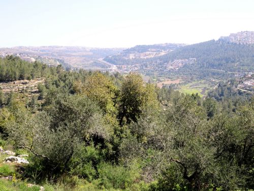 Jerusalem Trail: Glimpses of Jerusalem