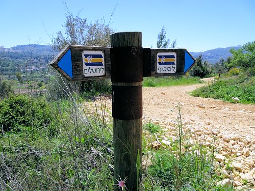 Jerusalem Trail: Choices, choices, choices: On to Jerusalem, or back to the Sataf? - © Deniz Bensason