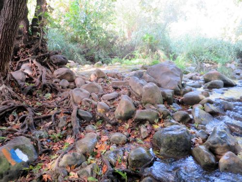 Israel National Trail - Section 01: Dan Rivulet