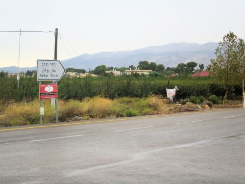 Israel National Trail - Section 01: The road to Kfar Yuval