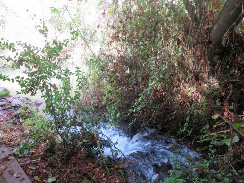 Israel National Trail - Section 01: The Dan Creek