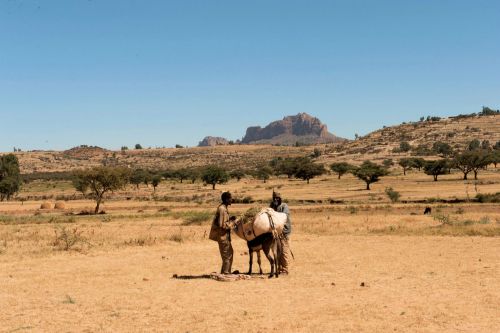 Landscapes/Grasslands & Savannas - Ethiopian Savannah: Two men and a donkey