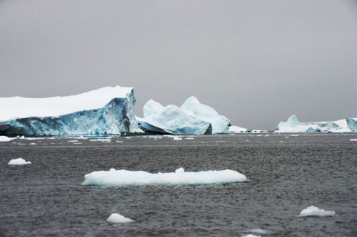Landscapes/Icebergs and Pack ice - Lemaire Channel-Pleneau Island: Iceberg, first impressions