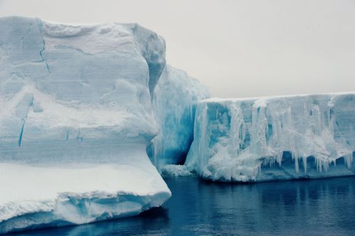 Landscapes/Icebergs and Pack ice - In Antarctic Sound between Brown Bluff and Hope Bay, Tabarin Peninsula: Exploring a '-berg' (Closing in)