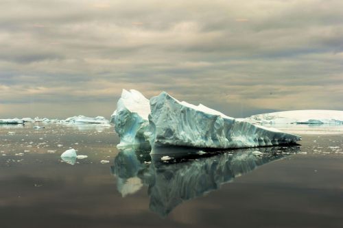 Landscapes/Icebergs and Pack ice - Lemaire Channel-Pleneau Island: Icebergs reflecting in calm waters