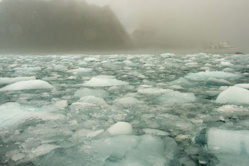 Landscapes/Icebergs and Pack ice - Elephant Island: Pack ice with boat in the background (from zodiac)
