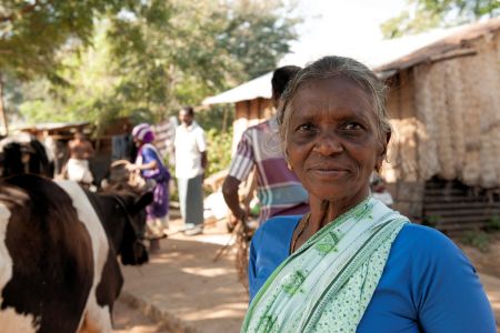 Faces of India: A wise woman