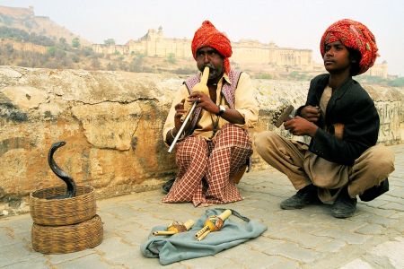 Faces of India: 2 Charmers, 1 Cobra